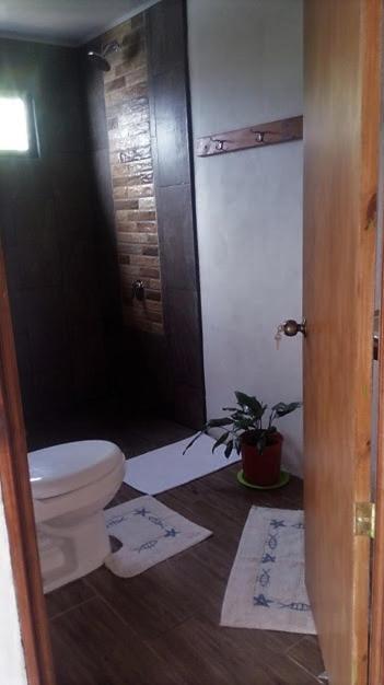 Casa Morella Monteverde Extérieur photo